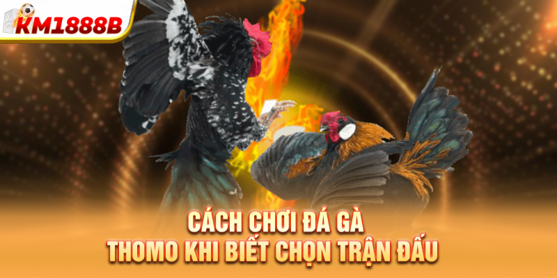 cach choi da ga thomo khi biet chon tran dau