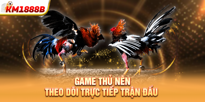 Game thủ nên theo dõi trực tiếp trận đấu