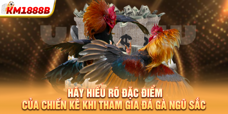 Hãy hiểu rõ đặc điểm của chiến kê khi tham gia đá gà ngũ sắc 