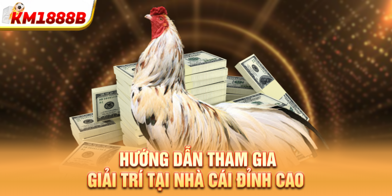 Hướng dẫn tham gia giải trí tại nhà cái đỉnh cao 