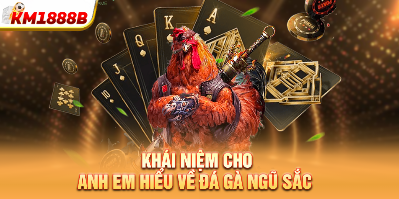 khai niem cho anh em hieu ve da ga ngu sac