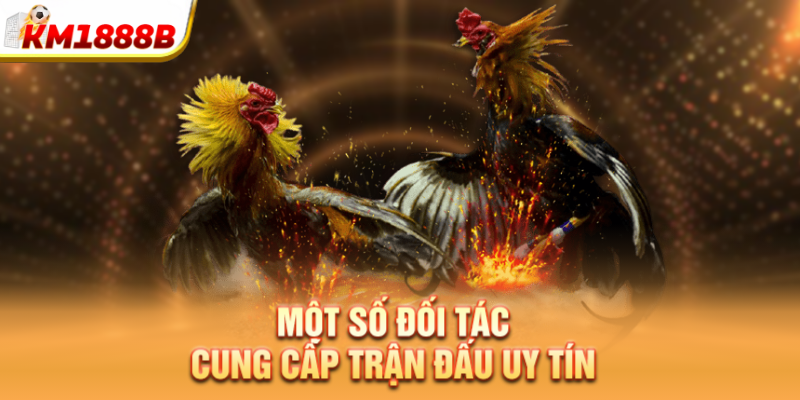 Một số đối tác cung cấp trận đấu uy tín