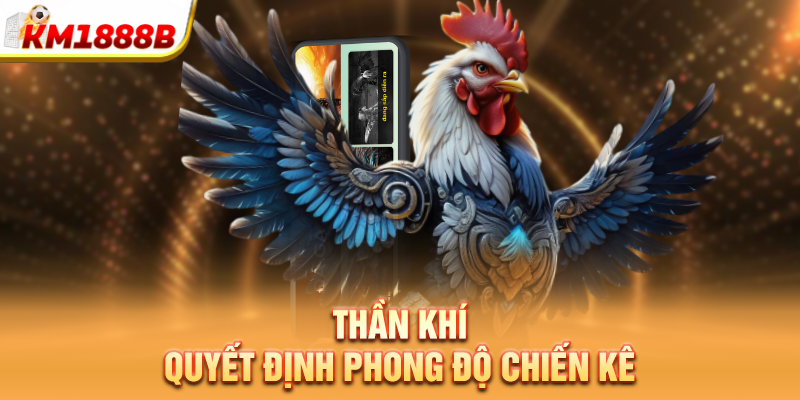 Thần khí quyết định phong độ chiến kê