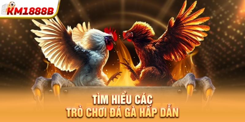Tìm hiểu các trò chơi đá gà hấp dẫn