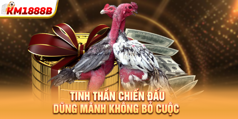 Tinh thần chiến đấu dũng mãnh không bỏ cuộc 