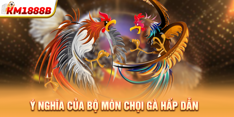 Ý nghĩa của bộ môn chọi gà hấp dẫn 